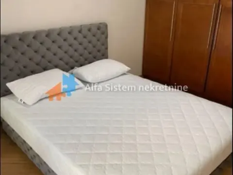 Izdavanje, dvosoban stan, 50m², Vračar Sve Podlokacije, Beograd - image 7