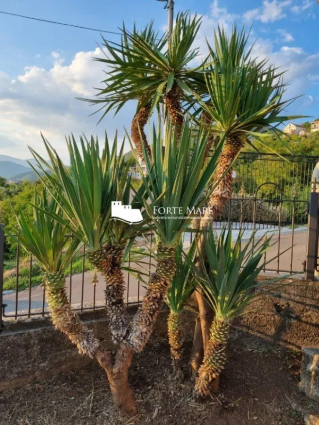 Sale, house, 203m², Tivat, Crna Gora