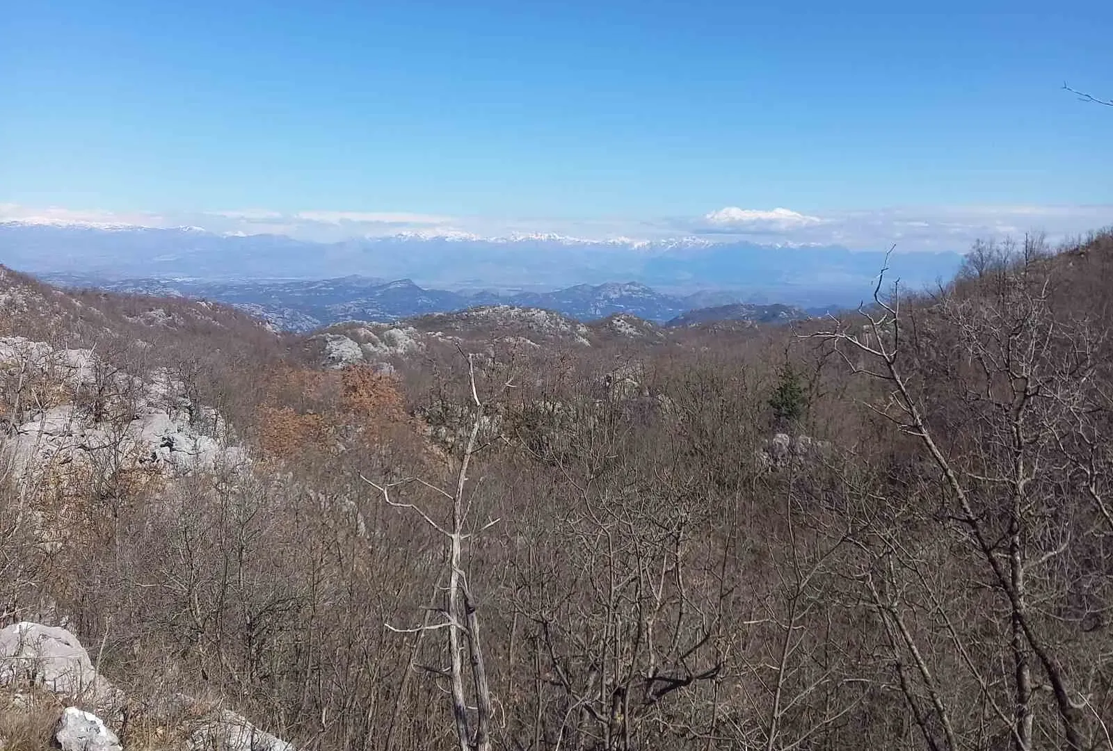 Prodaja, plac, 128000m², Cetinje, Crna Gora