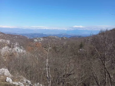 Prodaja, plac, 128000m², Cetinje, Crna Gora - image 2