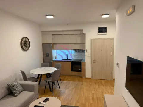 Rent, one bedroom apartment, 43m², Donja Gorica, Podgorica - image 2
