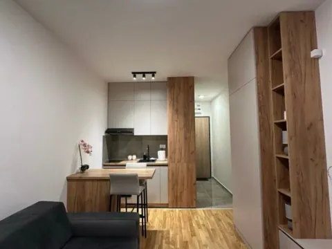 Izdavanje, garsonjera, 24m², Zabjelo, Podgorica - image 4