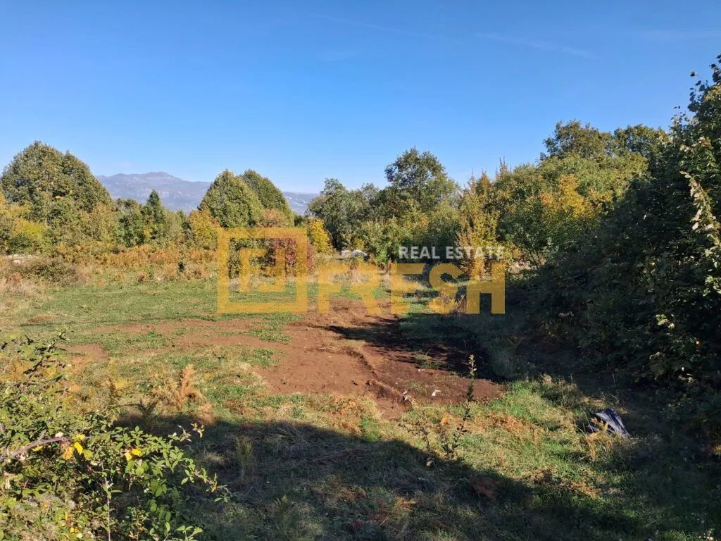 Pogled na zeleni plac sa rastinjem i drvećem u prizemlju.