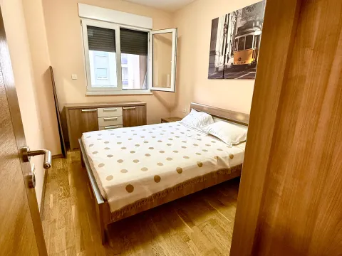 Rent, one bedroom apartment, 47m², Preko Morače, Podgorica - image 8