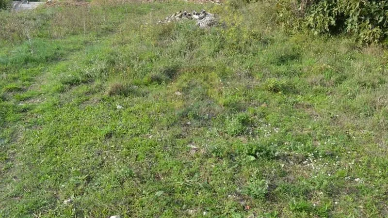 Prodaja, plac, 1700m², Reževići, Budva