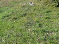 Sale, land lot, 1700m², Reževići, Budva - image 5