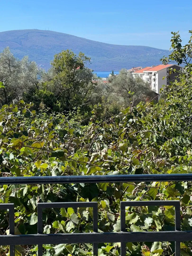 View of greenery, buildings, and mountains from the terrace.