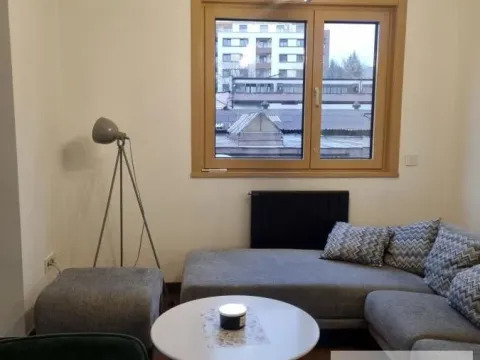 Izdavanje, trosoban stan, 55m², Šumice, Beograd - image 8