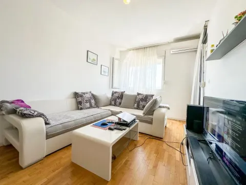 Izdavanje, jednosoban stan, 48m², Stari Aerodrom, Podgorica - image 3
