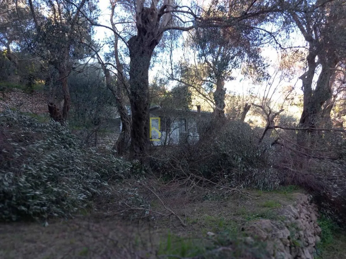 Prodaja, plac, 5000m², Ulcinj, Crna Gora