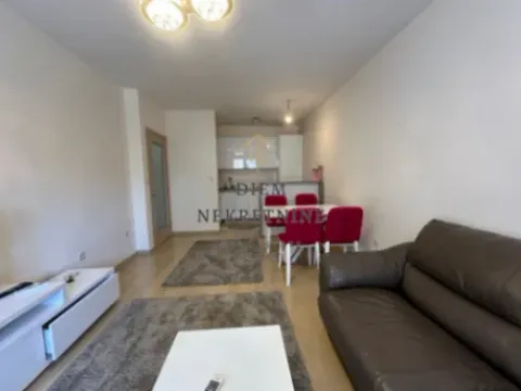 Izdavanje, jednosoban stan, 49m², City Kvart, Podgorica - image 8