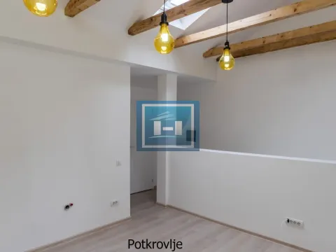 Prodaja, stan, 221m², Stari Grad, Beograd - image 13