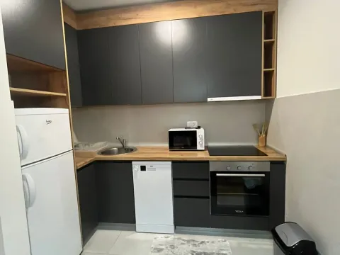 Prodaja, jednosoban stan, 49m², Central Point, Podgorica - image 4
