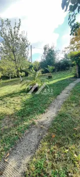 Zeleno dvorište sa stazom i drvećem. - image 13