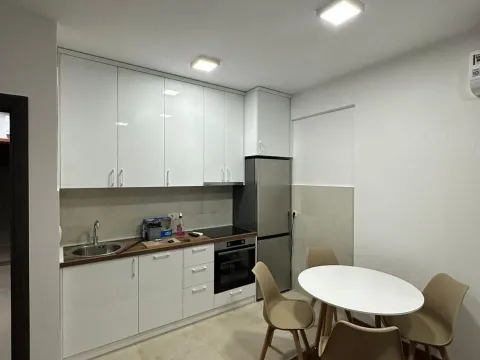 Izdavanje, jednosoban stan, 45m², Ljubović, Podgorica - image 2