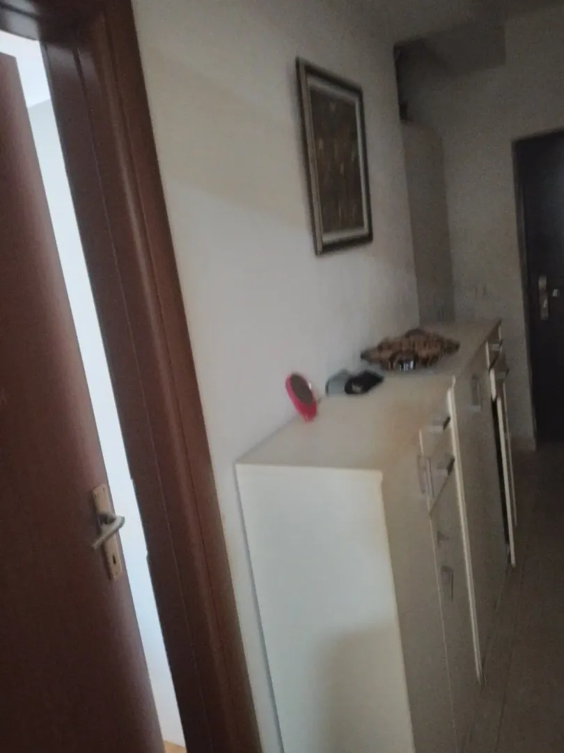Prodaja, dvosoban stan, 53m², Vezirov Most, Podgorica
