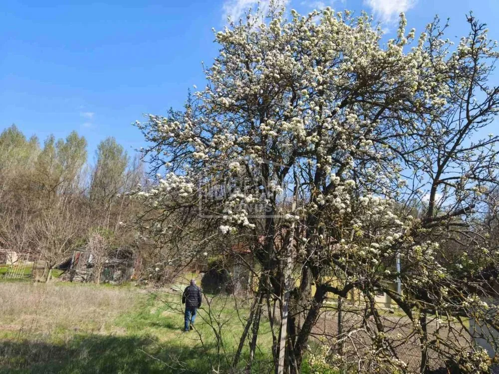 Prodaja, plac, 1400m², Kelebija, Subotica