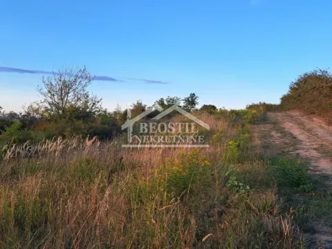 Prodaja, plac, 1400m², Višnjica, Palilula Sve Podlokacije - image 3
