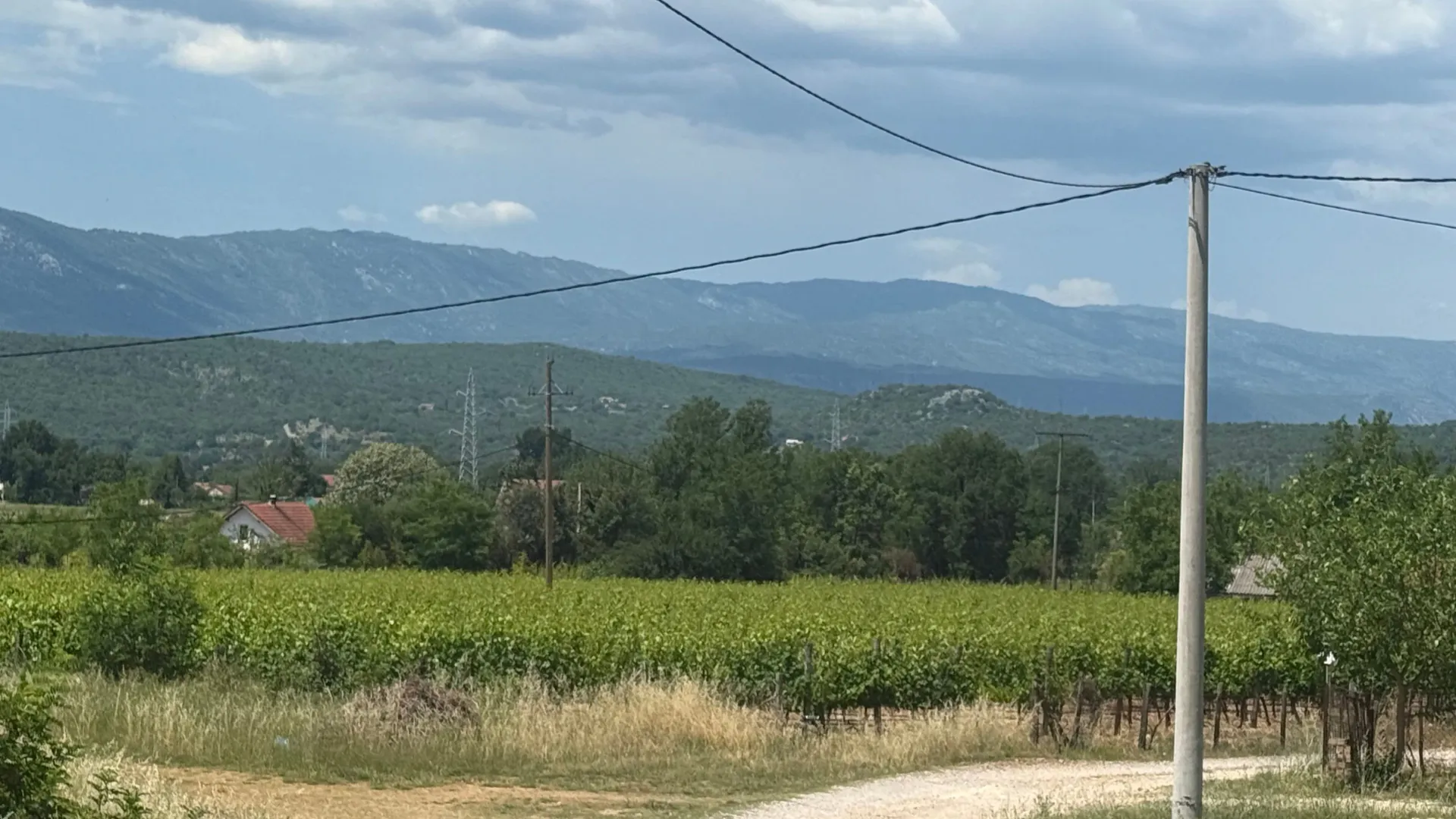 Prodaja, plac, 8924m², Jelenak, Danilovgrad