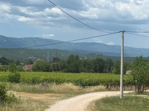 Prodaja, plac, 8924m², Jelenak, Danilovgrad - image 4