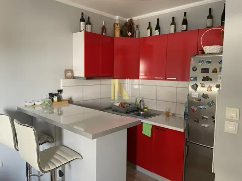 Izdavanje, jednosoban stan, 35m², Bulevar patrijarha Pavla, Novi Sad Sve Podlokacije - image 4