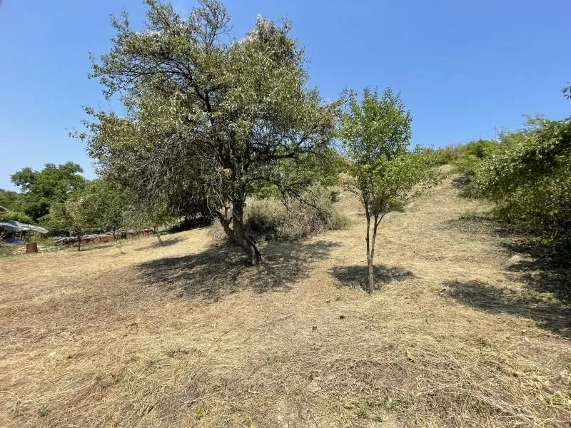 Prodaja, plac, 1500m², Rakovac, Novi Sad Sve Podlokacije