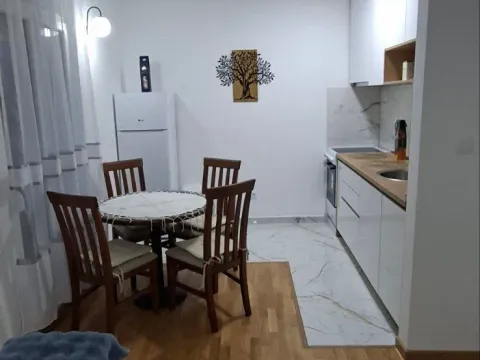Rent, two bedroom apartment, 47m², Zagorič, Podgorica - image 4