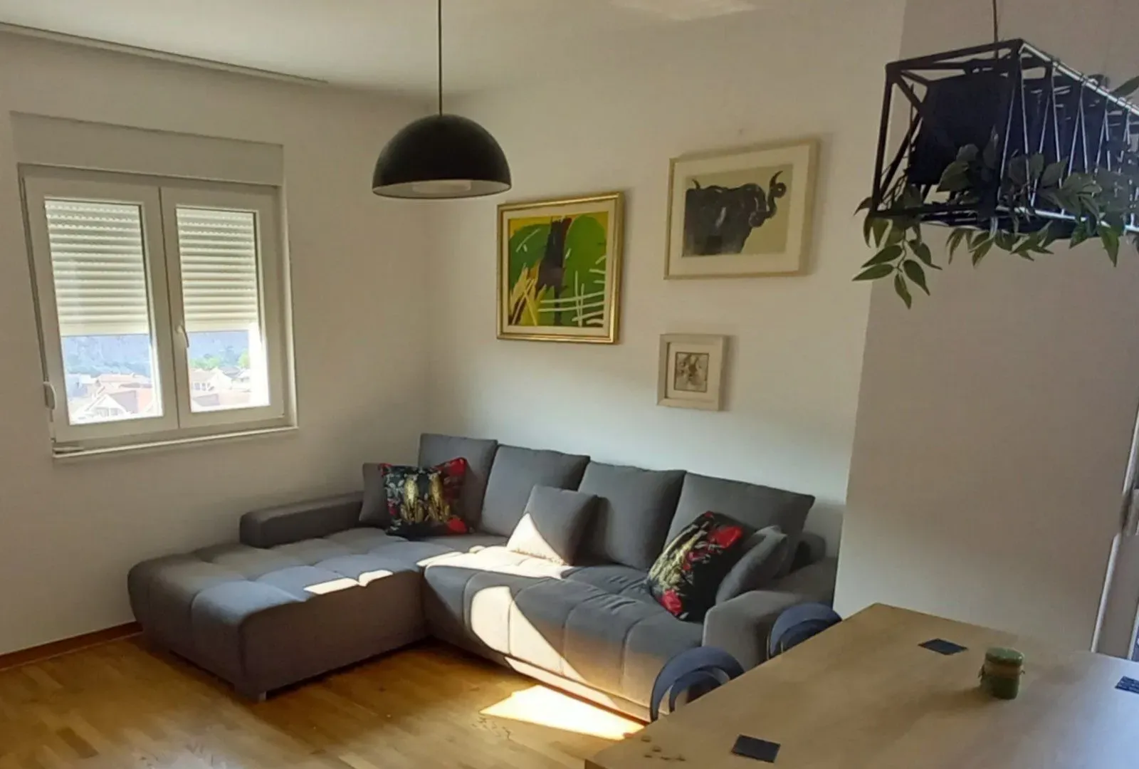 Rent, one bedroom apartment, 47m², Zagorič, Podgorica