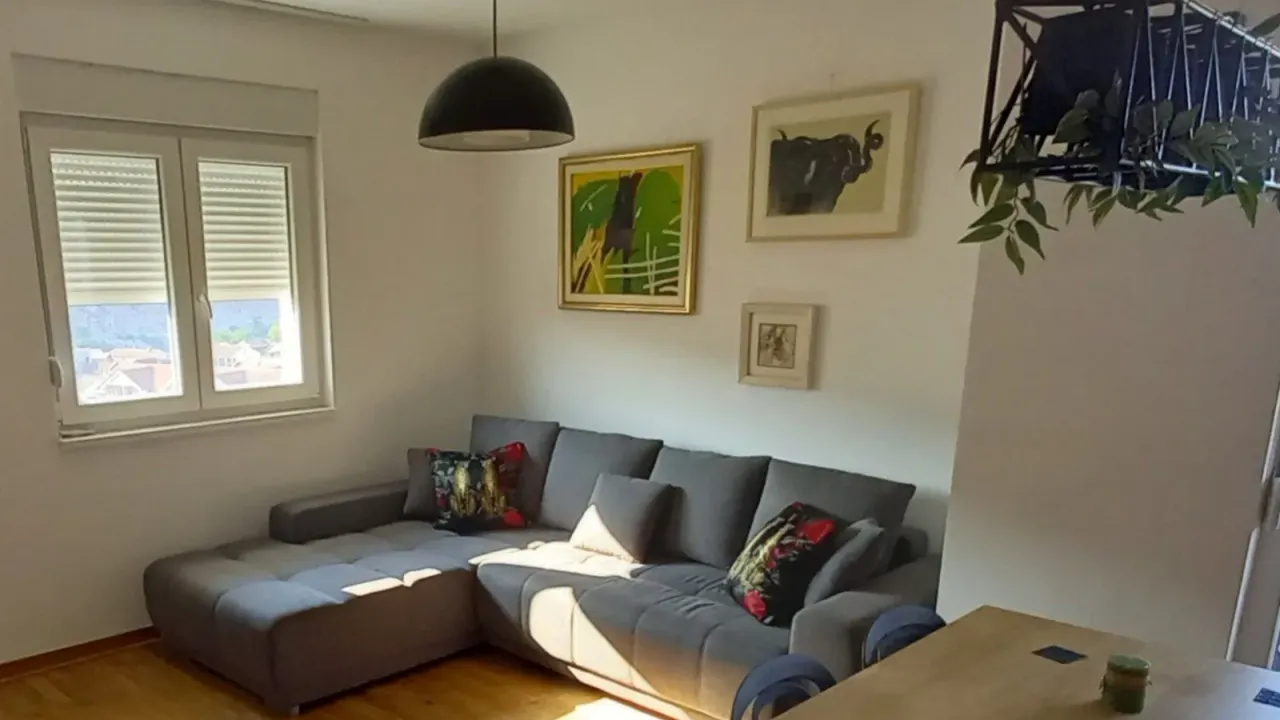 Izdavanje, jednosoban stan, 47m², Zagorič, Podgorica