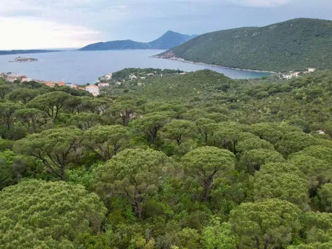 Sale, land lot, 5218m², Herceg Novi, Crna Gora - image 23