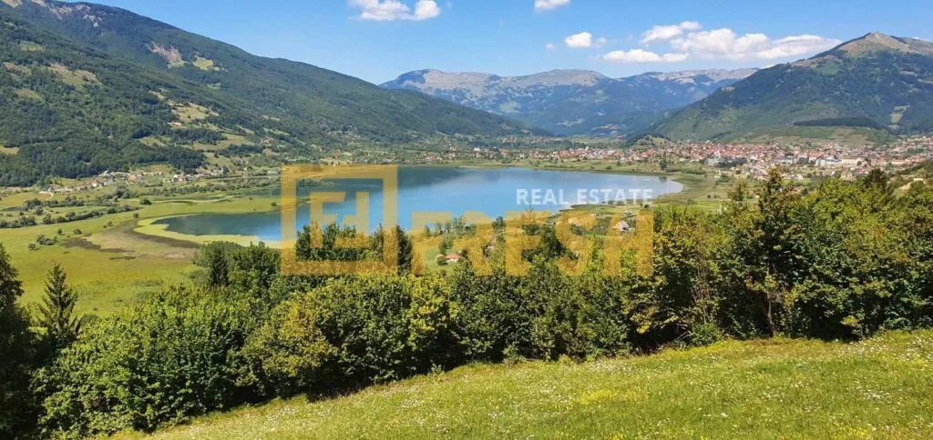 Prodaja, plac, 54553m², Plav, Crna Gora