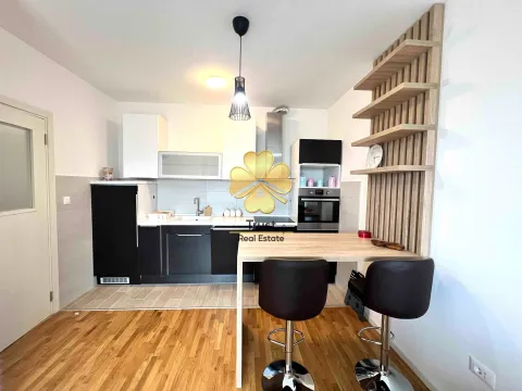 Izdavanje, jednosoban stan, 45m², Stari Aerodrom, Podgorica - image 2