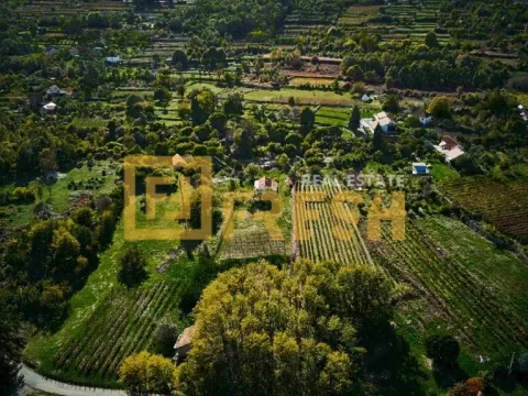 Prodaja, plac, 3891m², Danilovgrad, Crna Gora - image 9