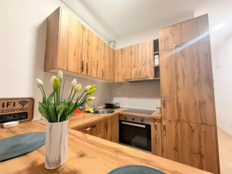 Izdavanje, garsonjera, 40m², Soho City, Bar - image 4