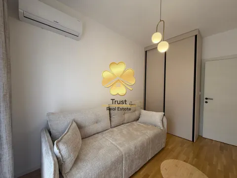 Izdavanje, dvosoban stan, 65m², Stari Aerodrom, Podgorica - image 14