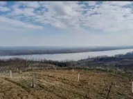 Prodaja, plac, 6400m², Plavinci, Grocka - image 3