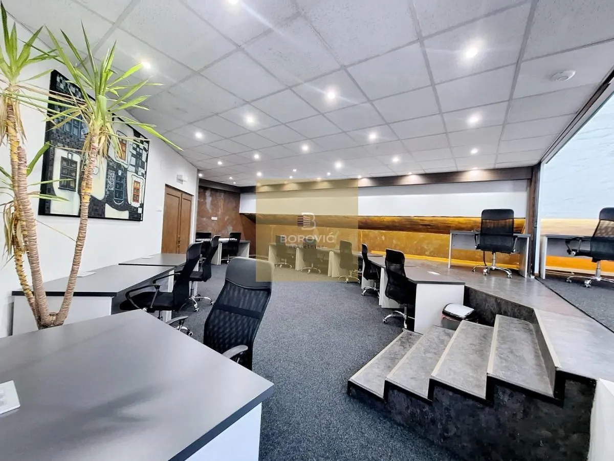 Izdavanje, poslovni prostor, 215m², Banovo Brdo, Beograd
