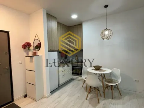 Izdavanje, garsonjera, 27m², Stari Aerodrom, Podgorica - image 6