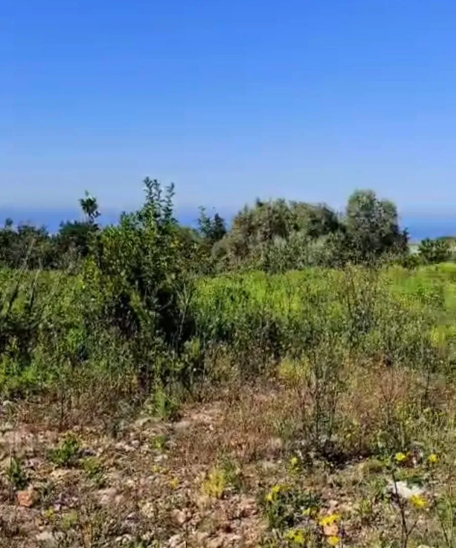 Prodaja, plac, 624m², Krimovica, Kotor