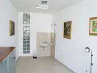 Izdavanje, poslovni prostor, 80m², Mali Mokri Lug, Zvezdara Sve Podlokacije - image 13