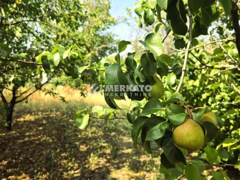 Sale, land lot, 3100m², Bagljaš, Zrenjanin - image 7