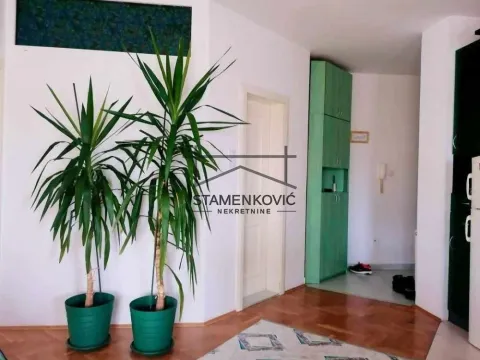 Izdavanje, dvosoban stan, 55m², Telep, Novi Sad Sve Podlokacije - image 12