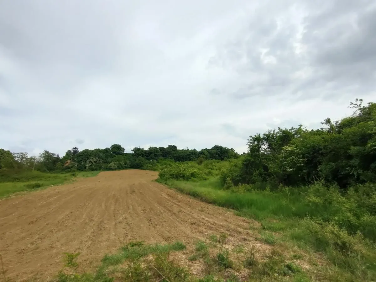Prodaja, plac, 7600m², Ledinci, Petrovaradin