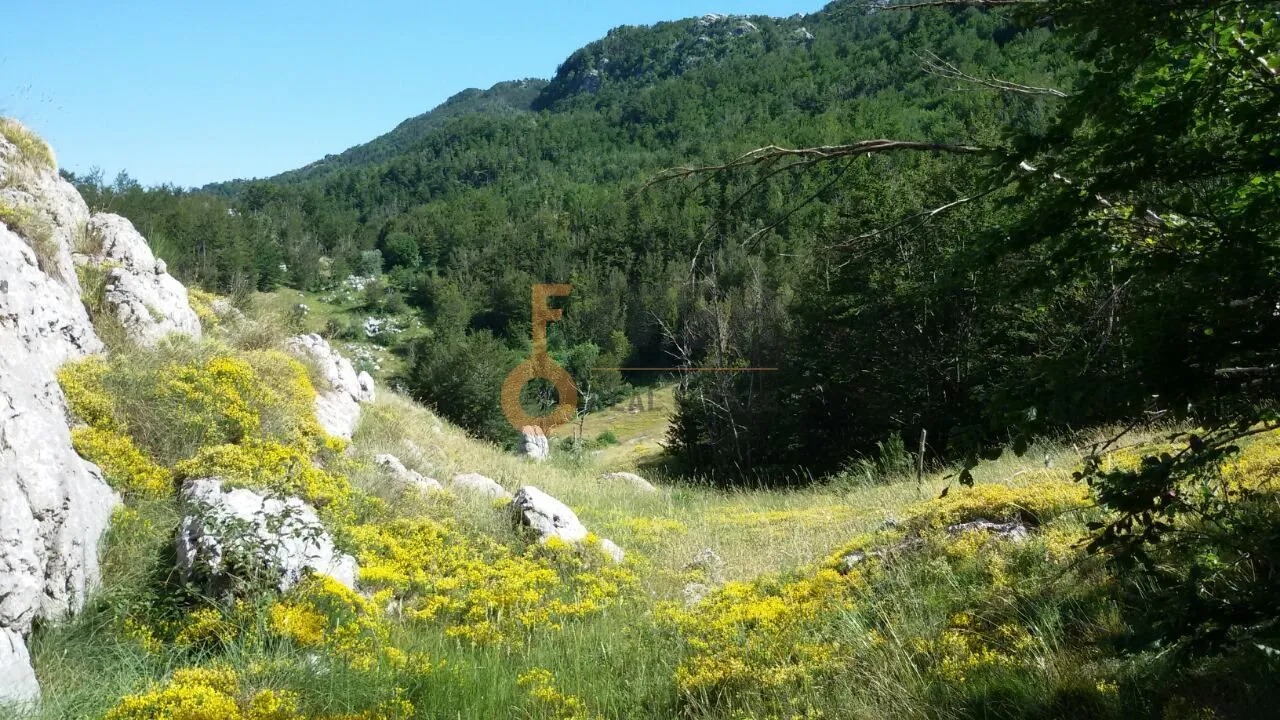 Prodaja, plac, 100000m², Cetinje, Crna Gora
