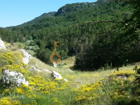 Prodaja, plac, 100000m², Cetinje, Crna Gora - image 11