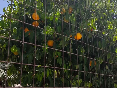 Stan in Voždovac Sve Podlokacije