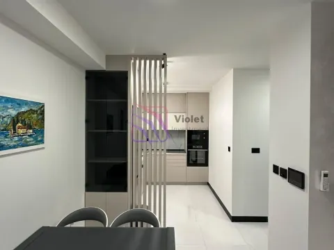 Rent, one bedroom apartment, 45m², City Kej, Podgorica - image 10