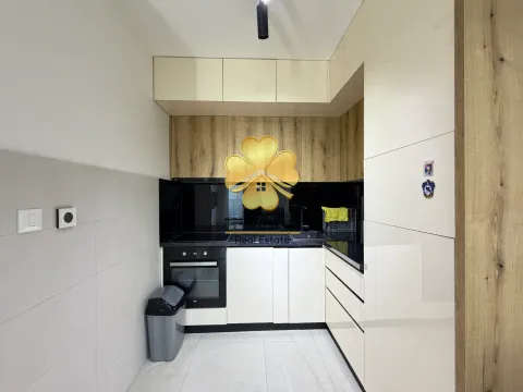 Modern kitchen with white cabinets and wooden details. - image 6