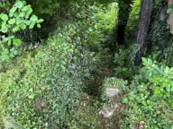 Prodaja, kuća, 258m², Velje Brdo, Podgorica - image 6