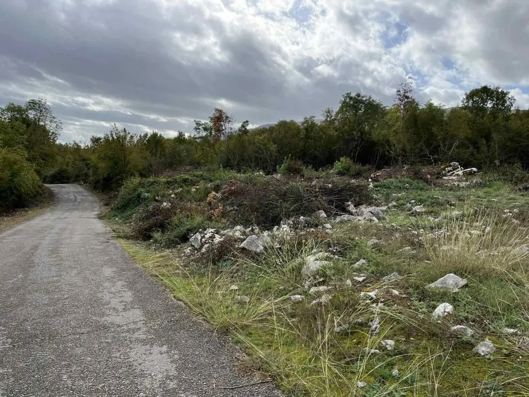 Prodaja, plac, 19808m², Danilovgrad, Crna Gora